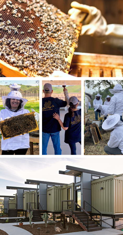2023 Vineyard Beekeeping Retreat