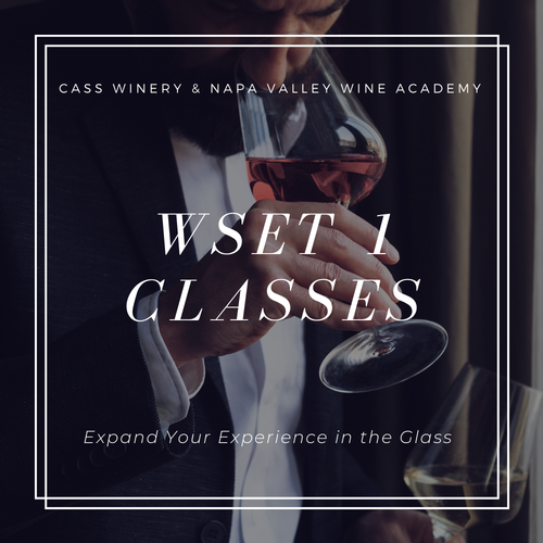 CASS Winery WSET 1 Classes