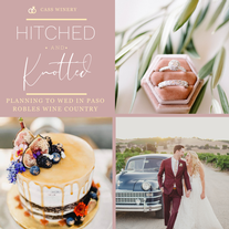 Hitched + Knotted this Summer