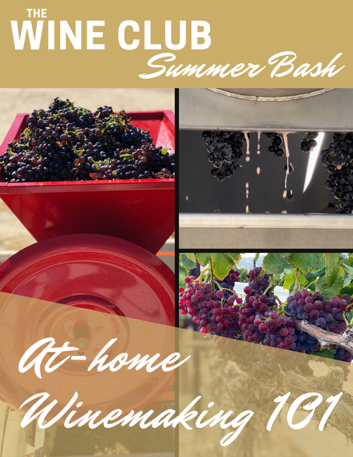 2024 Summer Bash - Home Winemaking 101