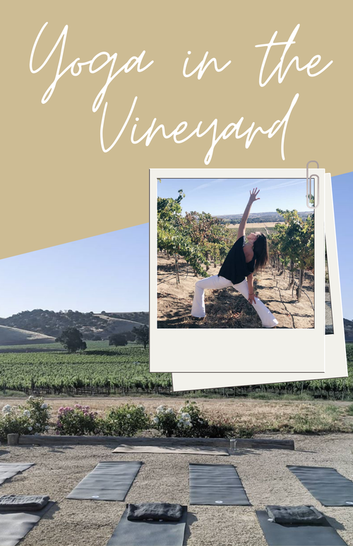 2021 Summer Bash - Yoga in the Vineyard